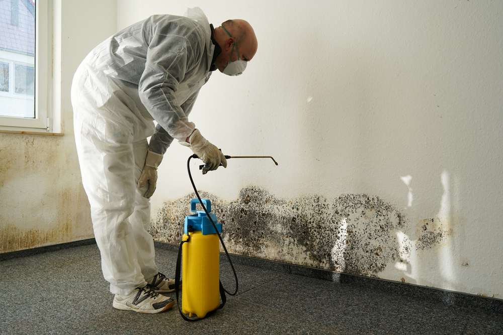 Man getting rid of mold using chemicals